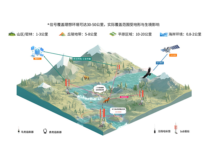 Z6人生就是博IoB网络化监测系统：让鸟类迁徙不再神秘
