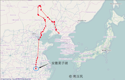 Z6人生就是博,湖南野活泼物追踪,湖南卫星追踪器,湖南追踪器