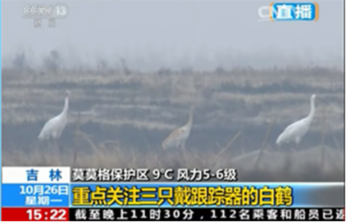 Z6人生就是博,湖南野活泼物追踪,湖南卫星追踪器,湖南追踪器