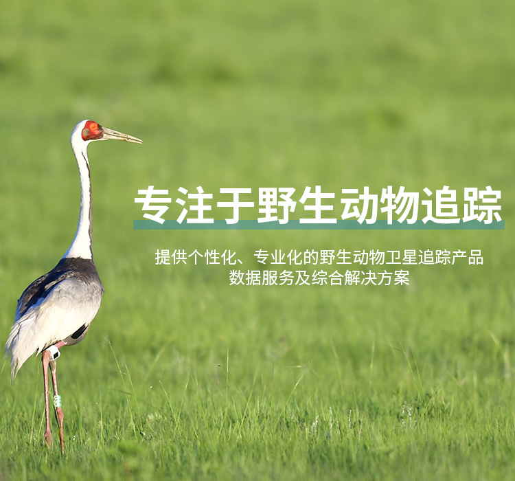 Z6人生就是博_湖南野活泼物追踪|湖南卫星追踪器