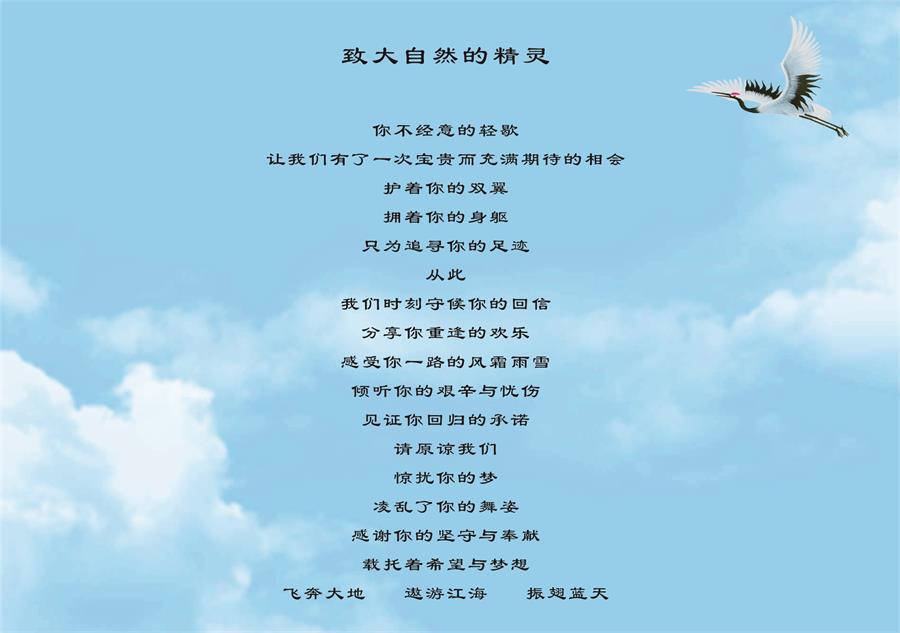 Z6人生就是博,湖南野活泼物追踪,湖南卫星追踪器,湖南追踪器
