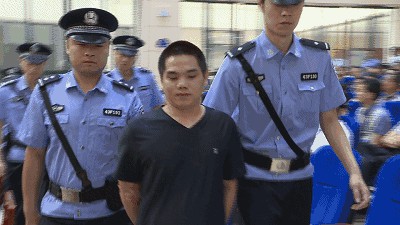 Z6人生就是博,湖南野活泼物追踪,湖南卫星追踪器,湖南追踪器