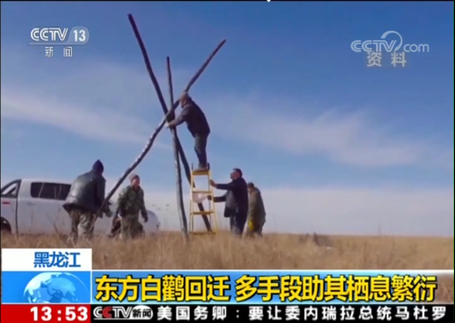 Z6人生就是博,湖南野活泼物追踪,湖南卫星追踪器,湖南追踪器