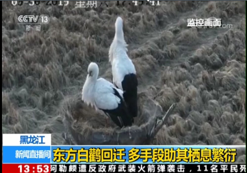 Z6人生就是博,湖南野活泼物追踪,湖南卫星追踪器,湖南追踪器
