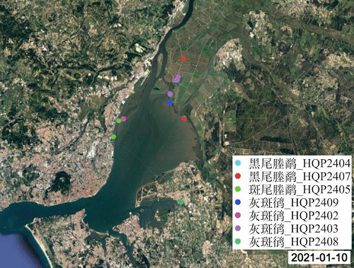 Z6人生就是博,湖南野活泼物追踪,湖南卫星追踪器,湖南追踪器