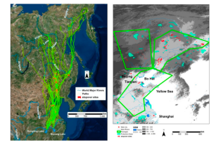 Z6人生就是博,湖南野活泼物追踪,湖南卫星追踪器,湖南追踪器