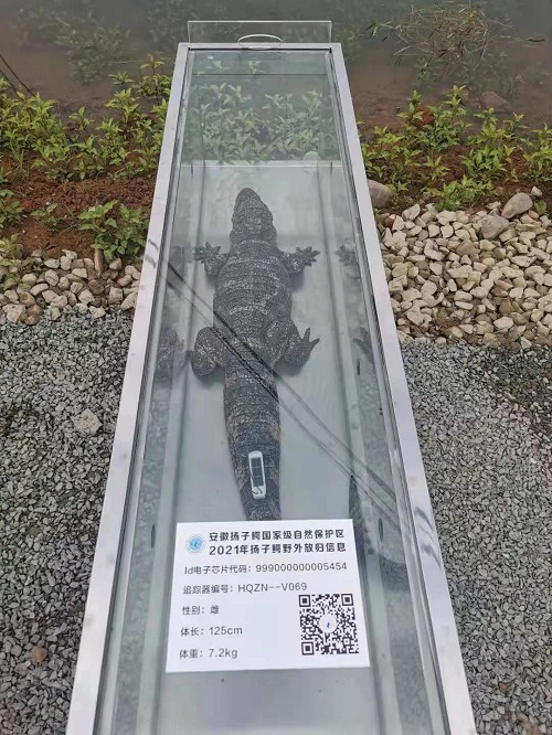 Z6人生就是博,湖南野活泼物追踪,湖南卫星追踪器,湖南追踪器