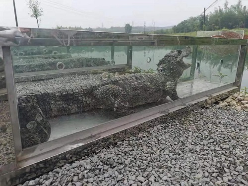 Z6人生就是博,湖南野活泼物追踪,湖南卫星追踪器,湖南追踪器