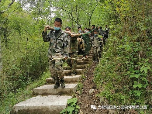 Z6人生就是博,湖南野活泼物追踪,湖南卫星追踪器,湖南追踪器
