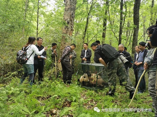 Z6人生就是博,湖南野活泼物追踪,湖南卫星追踪器,湖南追踪器