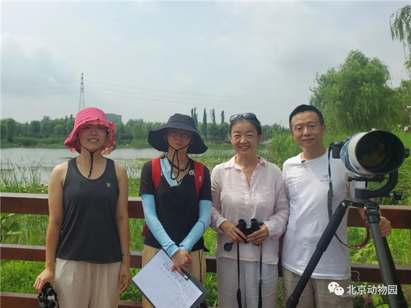 Z6人生就是博,湖南野活泼物追踪,湖南卫星追踪器,湖南追踪器
