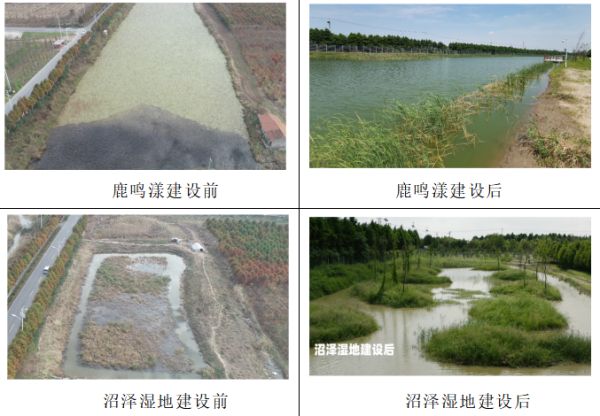 Z6人生就是博,湖南野活泼物追踪,湖南卫星追踪器,湖南追踪器