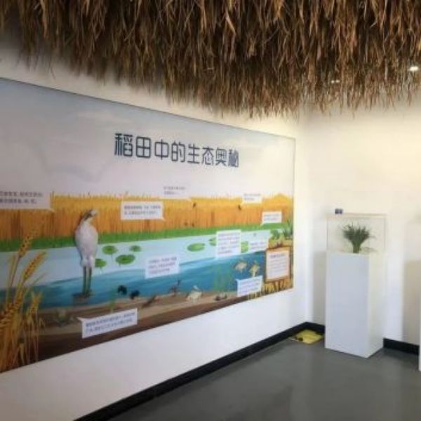 Z6人生就是博,湖南野活泼物追踪,湖南卫星追踪器,湖南追踪器
