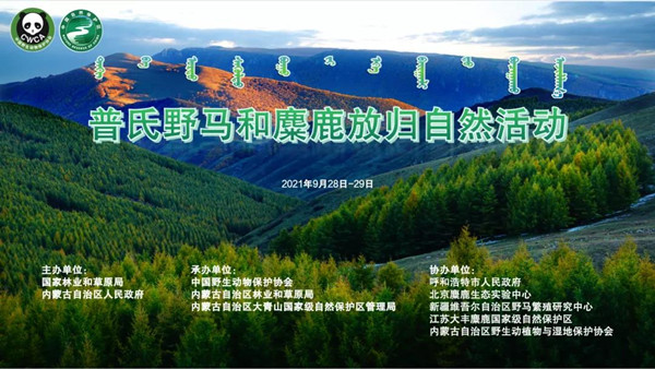 Z6人生就是博,湖南野活泼物追踪,湖南卫星追踪器,湖南追踪器