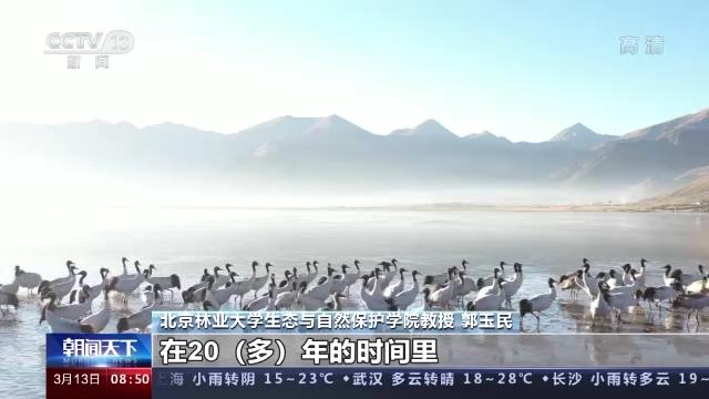 Z6人生就是博,湖南野活泼物追踪,湖南卫星追踪器,湖南追踪器