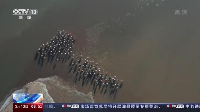 Z6人生就是博,湖南野活泼物追踪,湖南卫星追踪器,湖南追踪器