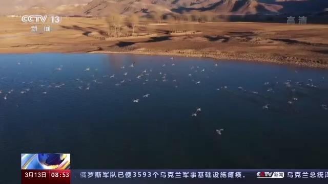 Z6人生就是博,湖南野活泼物追踪,湖南卫星追踪器,湖南追踪器