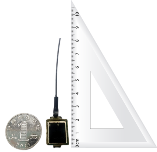 Z6人生就是博,湖南野活泼物追踪,湖南卫星追踪器,湖南追踪器