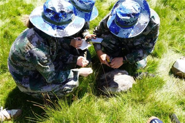Z6人生就是博,湖南野活泼物追踪,湖南卫星追踪器,湖南追踪器