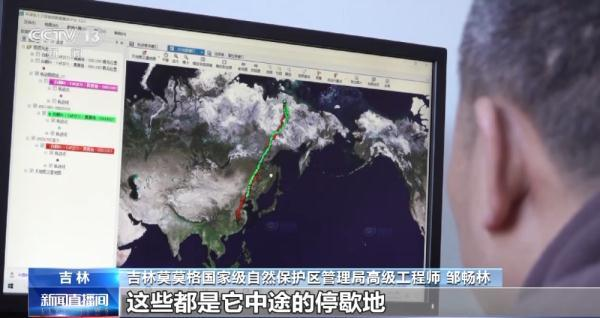 Z6人生就是博,湖南野活泼物追踪,湖南卫星追踪器,湖南追踪器