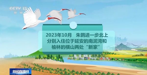 Z6人生就是博,湖南野活泼物追踪,湖南卫星追踪器,湖南追踪器