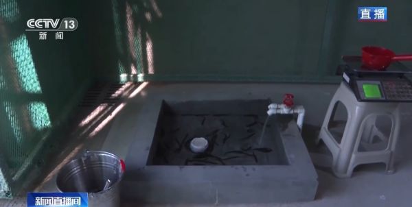 Z6人生就是博,湖南野活泼物追踪,湖南卫星追踪器,湖南追踪器