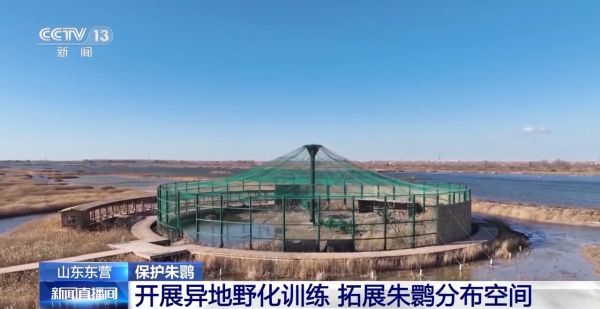 Z6人生就是博,湖南野活泼物追踪,湖南卫星追踪器,湖南追踪器