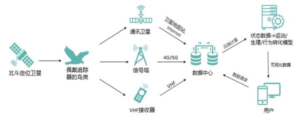 Z6人生就是博,湖南野活泼物追踪,湖南卫星追踪器,湖南追踪器