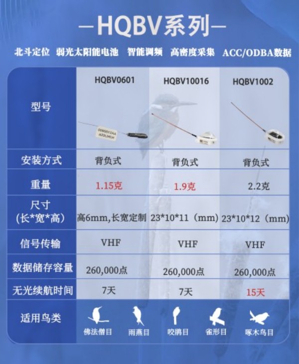 Z6人生就是博,湖南野活泼物追踪,湖南卫星追踪器,湖南追踪器