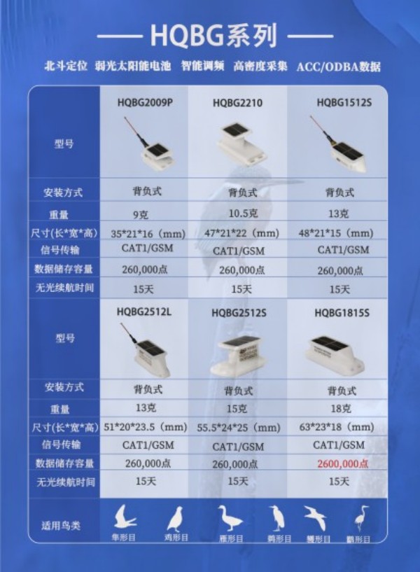 Z6人生就是博,湖南野活泼物追踪,湖南卫星追踪器,湖南追踪器
