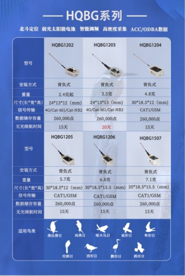 Z6人生就是博,湖南野活泼物追踪,湖南卫星追踪器,湖南追踪器
