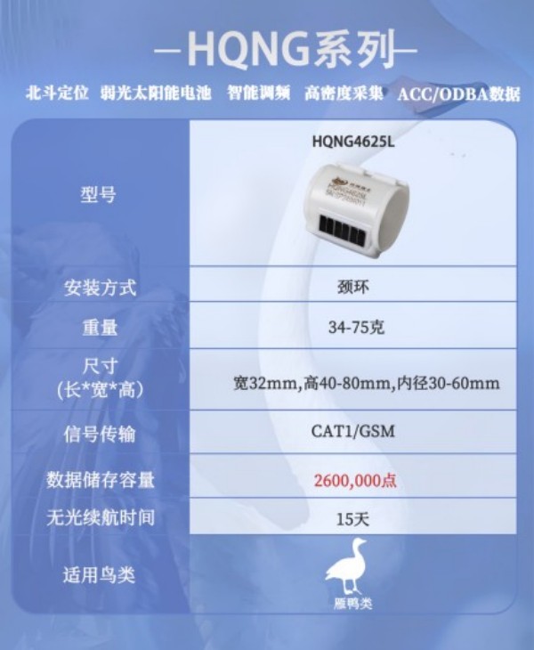 Z6人生就是博,湖南野活泼物追踪,湖南卫星追踪器,湖南追踪器