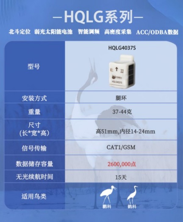 Z6人生就是博,湖南野活泼物追踪,湖南卫星追踪器,湖南追踪器