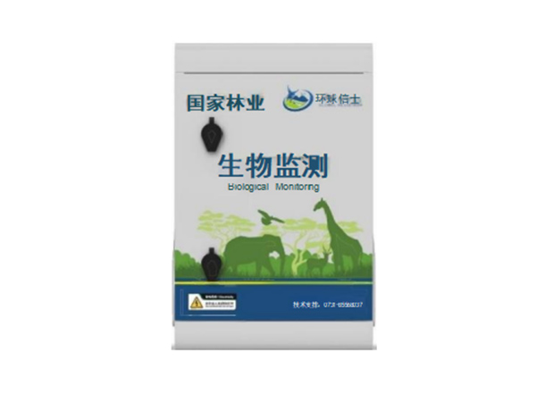 IoB系统